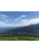 武蔵小杉 シュシュ - 🦑いかちゃん🦑の女の子ブログ画像