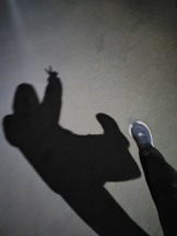 武蔵小杉 シュシュ - 🦑いかちゃん🦑の女の子ブログ画像