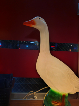 武蔵小杉 シュシュ - 🦑いかちゃん🦑の女の子ブログ画像