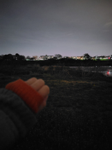 武蔵小杉 シュシュ - 🦑いかちゃん🦑の女の子ブログ画像