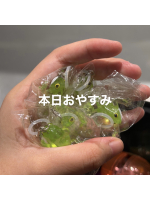 ビアガーデンカーニバル - れおの女の子ブログ画像