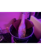 みつばちマーヤZ - しのの女の子ブログ画像