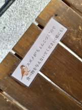 Candy kiss - かなの女の子ブログ画像