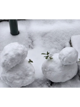 club J - マナミの女の子ブログ画像