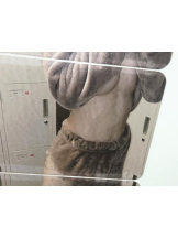 ベイビーモコ - ななかの女の子ブログ画像