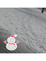 武蔵小杉 シュシュ - えりなの女の子ブログ画像