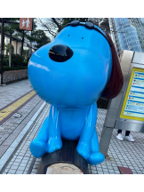 武蔵小杉 シュシュ - えりなの女の子ブログ画像