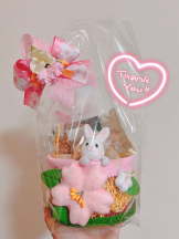 武蔵小杉 シュシュ - えりなの女の子ブログ画像