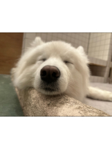 武蔵小杉 シュシュ - えりなの女の子ブログ画像