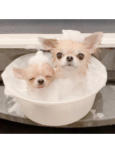 JULIE＆ANNA Tokyo - あみの女の子ブログ画像