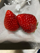 CHERRY 新宿 - ゆいなの女の子ブログ画像