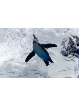 ときめき女学院 - ななみの女の子ブログ画像