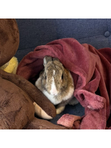 to tomorrow - ひなみの女の子ブログ画像