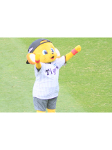 さくらん　関内 - りゅうかの女の子ブログ画像