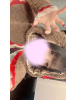 Mint - めいかの女の子ブログ画像