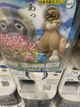 ハニートラップ - ひかるの女の子ブログ画像