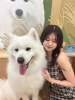 エマニエル秋葉原 - せなの女の子ブログ画像