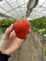 CHERRY WEST - もかの女の子ブログ画像