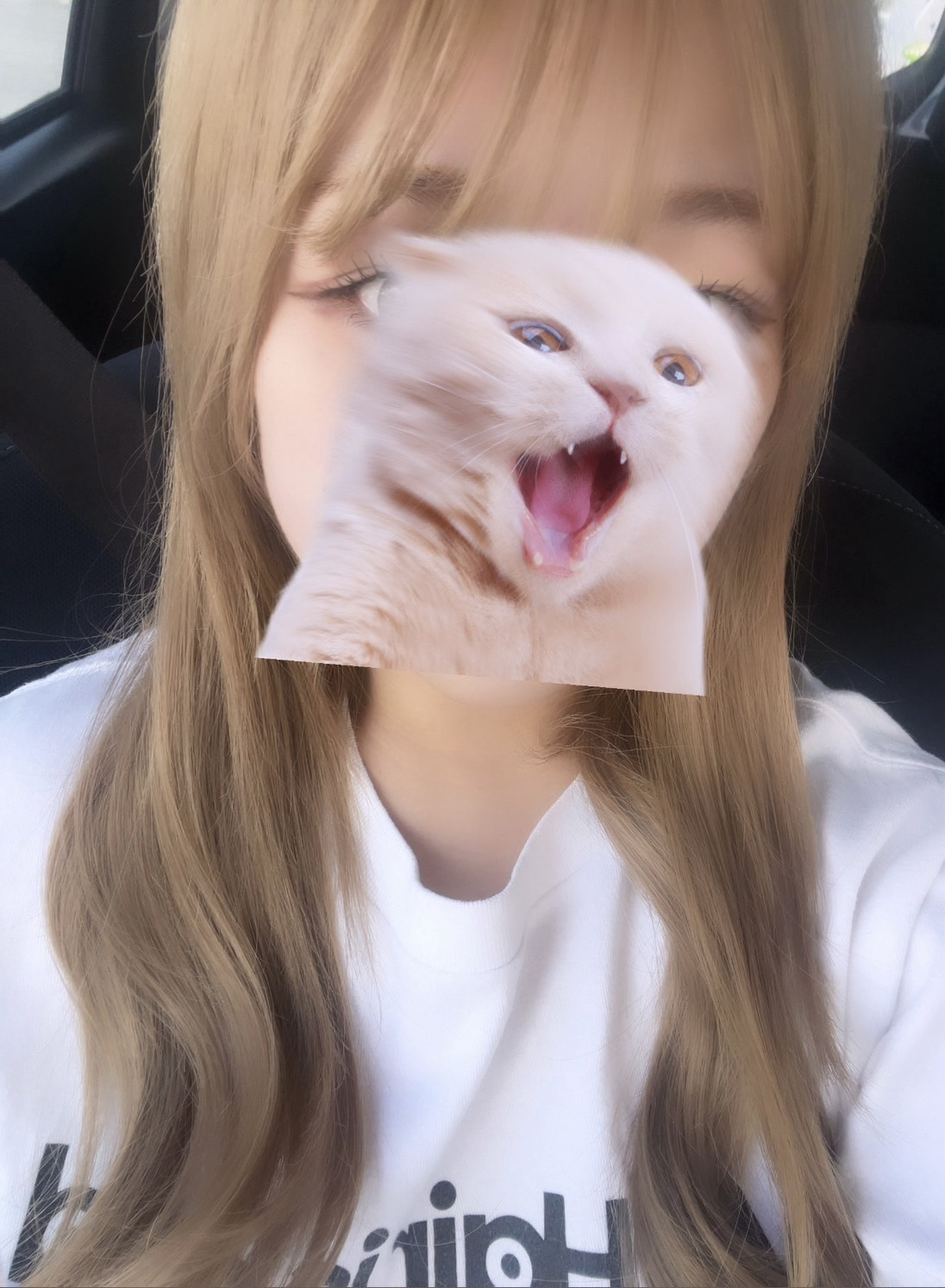 女の子ブログ添付画像1