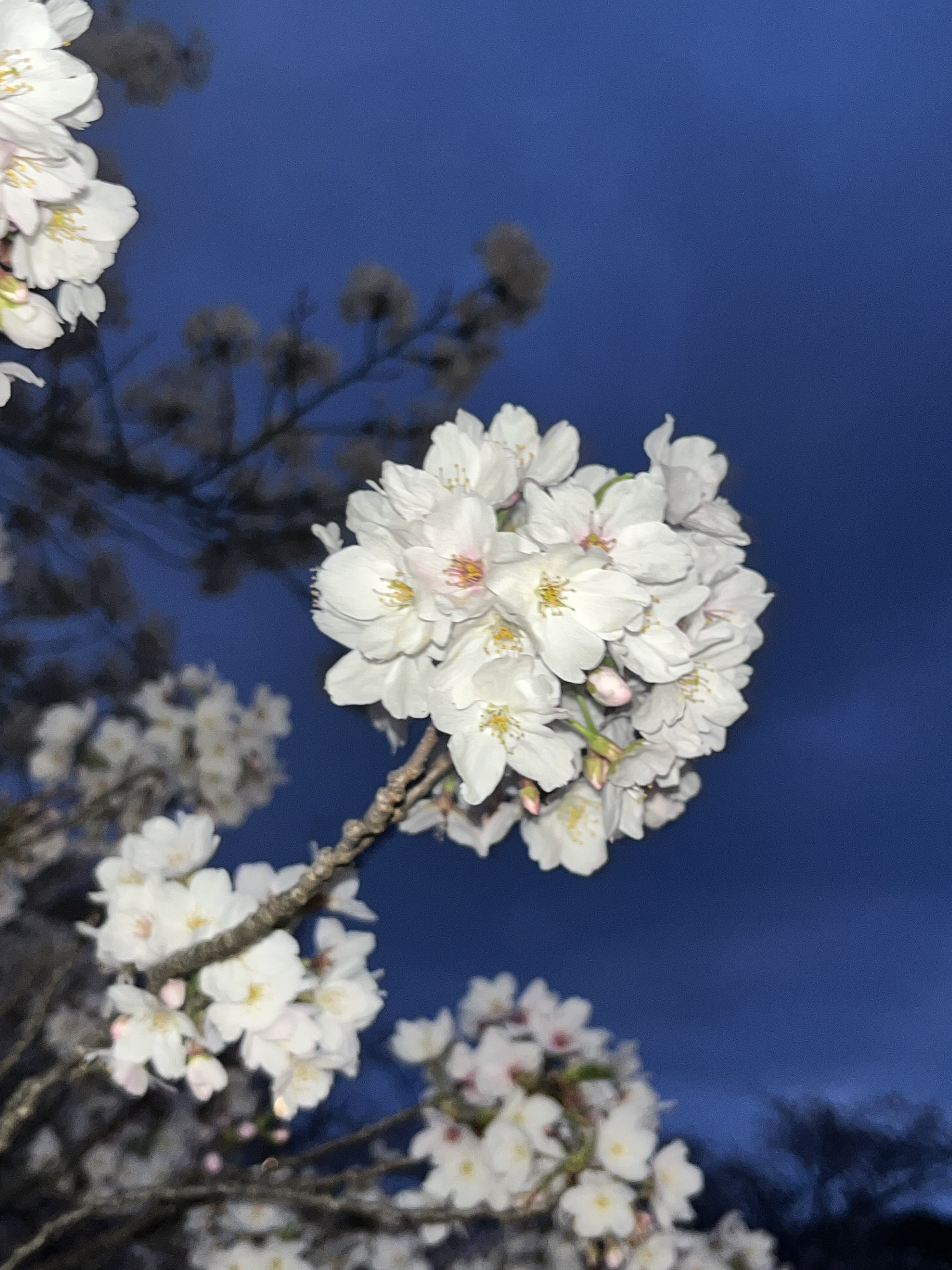 女の子ブログ添付画像1