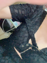 LAVISH - りんの女の子ブログ画像