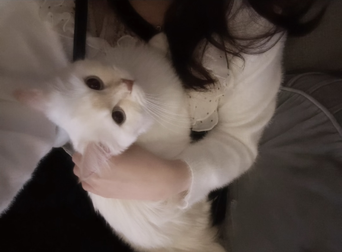 女の子ブログ添付画像1
