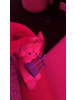 はっち８ - ゆあんの女の子ブログ画像