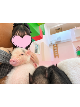 ビアガーデンカーニバル - ゆりかの女の子ブログ画像