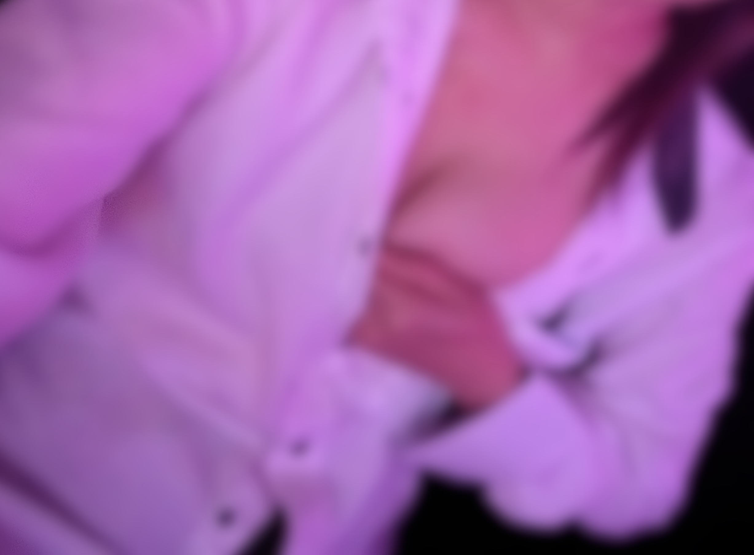 女の子ブログ添付画像1