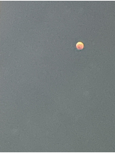 rejas(レジャス) - アスカの女の子ブログ画像