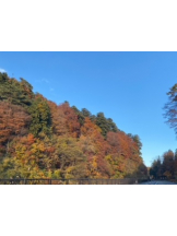 rejas(レジャス) - アスカの女の子ブログ画像