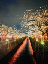 rejas(レジャス) - アスカの女の子ブログ画像