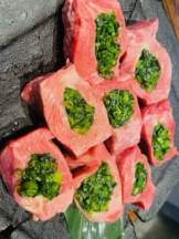 rejas(レジャス) - アスカの女の子ブログ画像