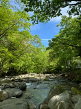 rejas(レジャス) - アスカの女の子ブログ画像