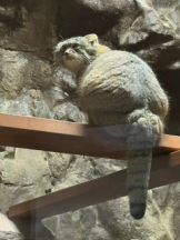 rejas(レジャス) - アスカの女の子ブログ画像