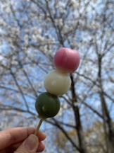 rejas(レジャス) - アスカの女の子ブログ画像