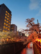 rejas(レジャス) - アスカの女の子ブログ画像