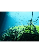 rejas(レジャス) - アスカの女の子ブログ画像