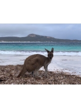 rejas(レジャス) - アスカの女の子ブログ画像