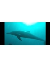 rejas(レジャス) - アスカの女の子ブログ画像