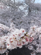 rejas(レジャス) - アスカの女の子ブログ画像