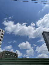 rejas(レジャス) - あいの女の子ブログ画像