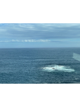 rejas(レジャス) - あいの女の子ブログ画像