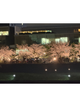 rejas(レジャス) - あいの女の子ブログ画像