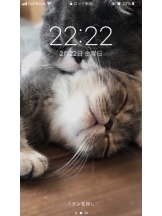 rejas(レジャス) - あいの女の子ブログ画像