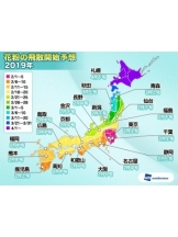 rejas(レジャス) - あいの女の子ブログ画像