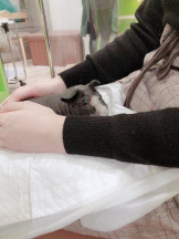 パイレーツ - こはるの女の子ブログ画像