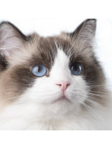 rejas(レジャス) - ゆきなの女の子ブログ画像