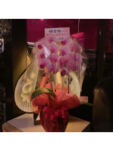 rejas(レジャス) - ゆきなの女の子ブログ画像