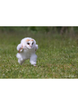 rejas(レジャス) - ゆきなの女の子ブログ画像